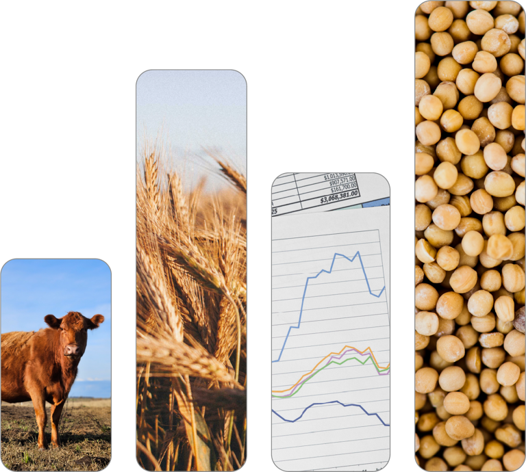 Gráfico con datos del agro